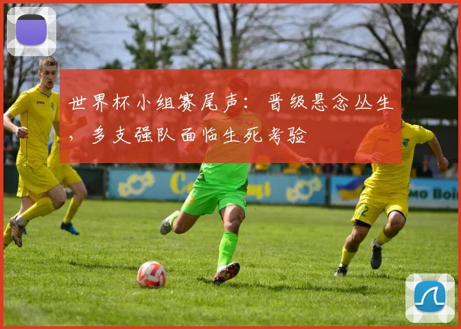 世界杯小组赛尾声：晋级悬念丛生，多支强队面临生死考验