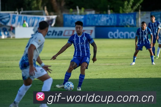 战术视频